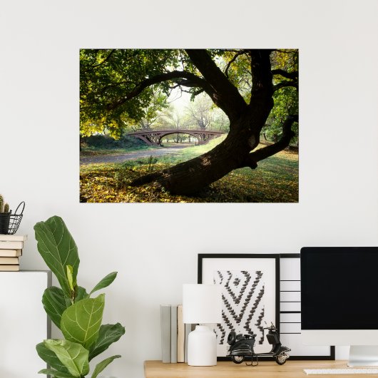 Poster Arbre et pont à Central Park (Bureau à domicile)