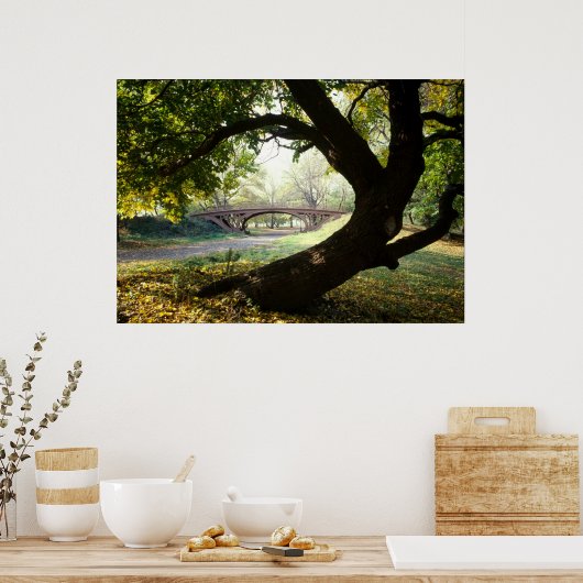 Poster Arbre et pont à Central Park (Cuisine)