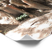 Poster Arbre et racines (Coin)