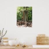 Poster Arbre et racines (Cuisine)