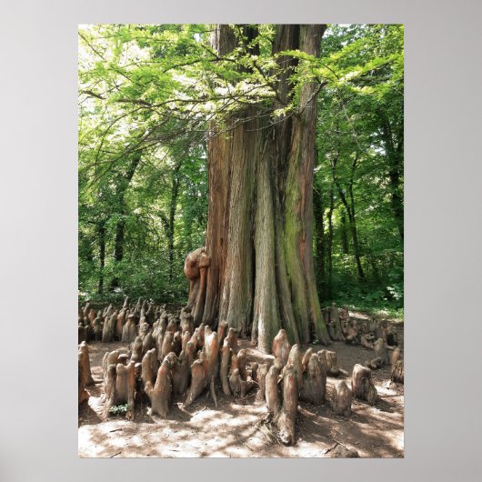 Poster Arbre et racines (Devant)