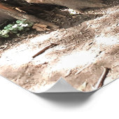 Poster Arbre et racines (Coin)