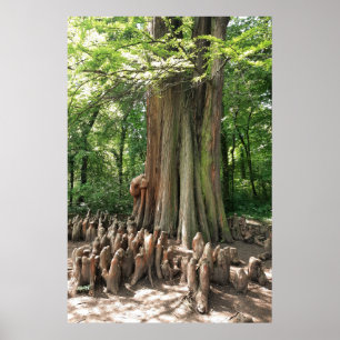 Poster Arbre et racines