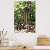 Poster Arbre et racines (Cuisine)