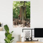 Poster Arbre et racines (Bureau à domicile)
