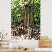 Poster Arbre et racines (Cuisine)