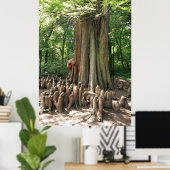 Poster Arbre et racines (Bureau à domicile)