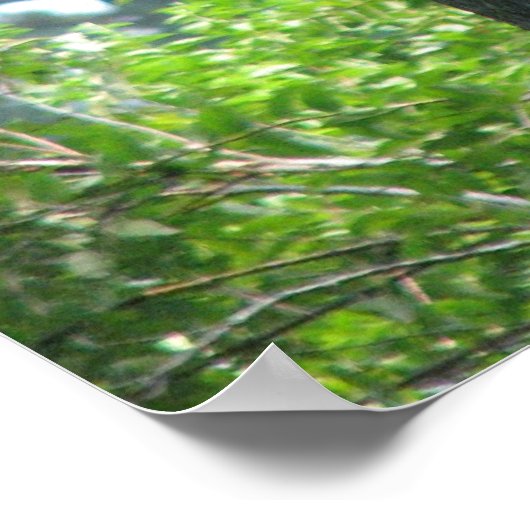 Poster Arbre expressif (Coin)