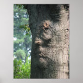 Poster Arbre expressif (Devant)