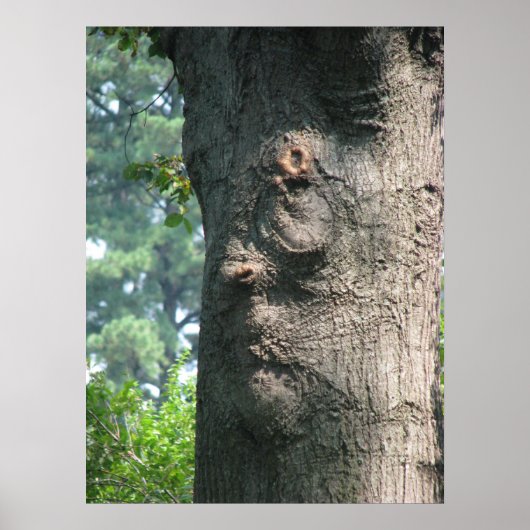 Poster Arbre expressif (Devant)