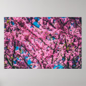 POSTER ARBRE FLEURI ROSE (Devant)