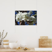 Poster Arbre Fleurissant aux Fleurs Blanches II Printemps (Cuisine)
