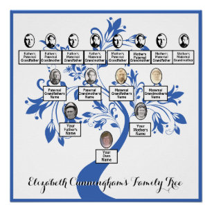 Poster Arbre Floral Blue Silhouette Family Tree Photos