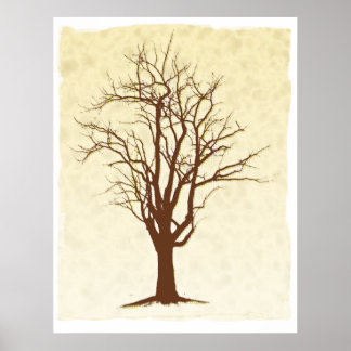 Poster Arbre foncé