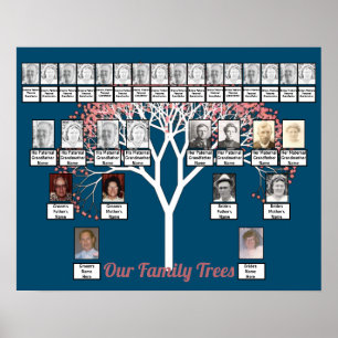 Poster Arbre fractal rose en fleurs Bleu 2 Arbres de fami