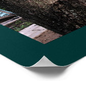 Poster Arbre Gargoyle (Coin)