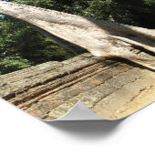 Poster Arbre géant Banyan ... Temple de Ta Prohm, Cambodg (Coin)