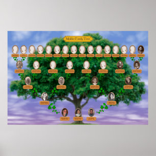 Poster Arbre généalogique de Makler