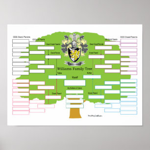 Poster Arbre généalogique de Williams