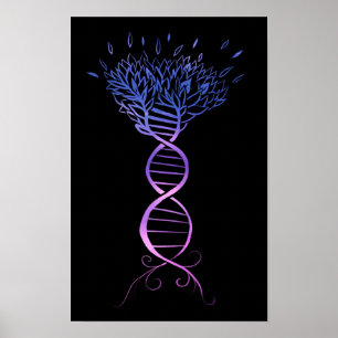 Poster Arbre génétique du brin d'ADN de l'arbre de vie