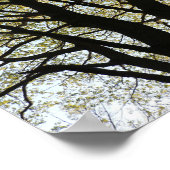 Poster Arbre grand rétroéclairé (Coin)