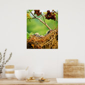 Poster Arbre Hirondelles Jardins Dormir Dans Le Nid (Cuisine)