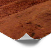 Poster Arbre hors des rochers rouges dans le parc nationa (Coin)