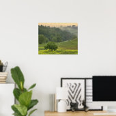 Poster Arbre isolé dans un champ agricole, Toscane, (Bureau à domicile)