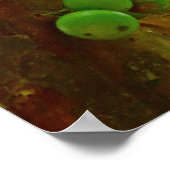 Poster Arbre Jaboticaba (Coin)