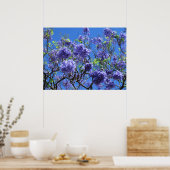 Poster Arbre Jacaranda (Cuisine)