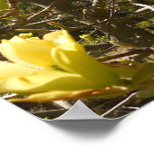 Poster Arbre jaune de Magnolia (Coin)