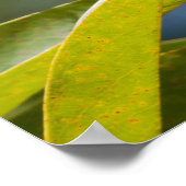 Poster Arbre jaune vif (Coin)