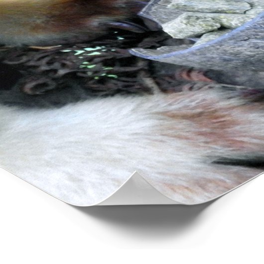 Poster Arbre Kangaroo (Coin)