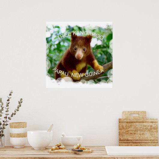 Poster Arbre kangourou (Cuisine)