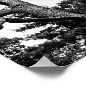 Poster arbre libre (Coin)