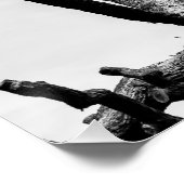 Poster arbre libre (Coin)