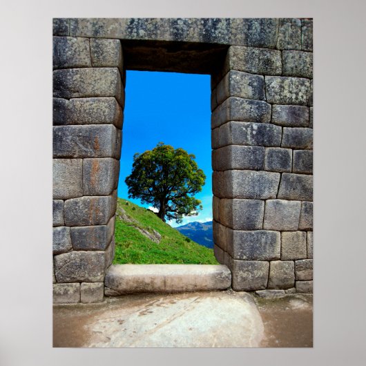 POSTER ARBRE LONE DE MACHU PICHU (Devant)