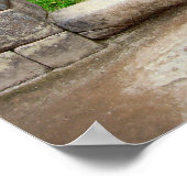 POSTER ARBRE LONE DE MACHU PICHU (Coin)