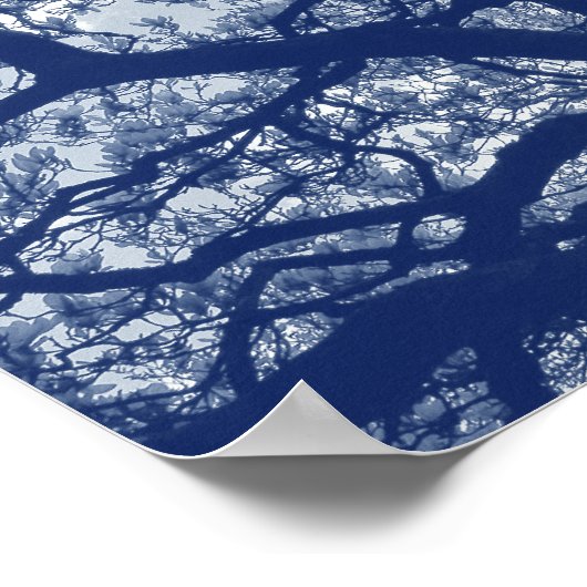 Poster Arbre Magnolia - Effet Cyanotype (Coin)