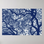 Poster Arbre Magnolia - Effet Cyanotype (Devant)