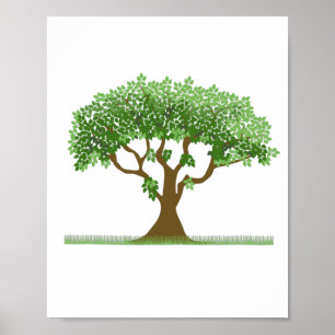 Poster Arbre mignon avec feuille