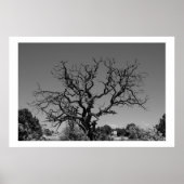 Poster Arbre mort (Devant)