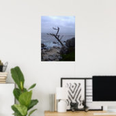 Poster arbre mort monterey (Bureau à domicile)