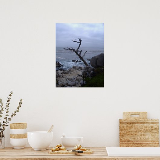 Poster arbre mort monterey (Cuisine)