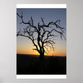 Poster Arbre_Morte_Coucher_Erock (Devant)