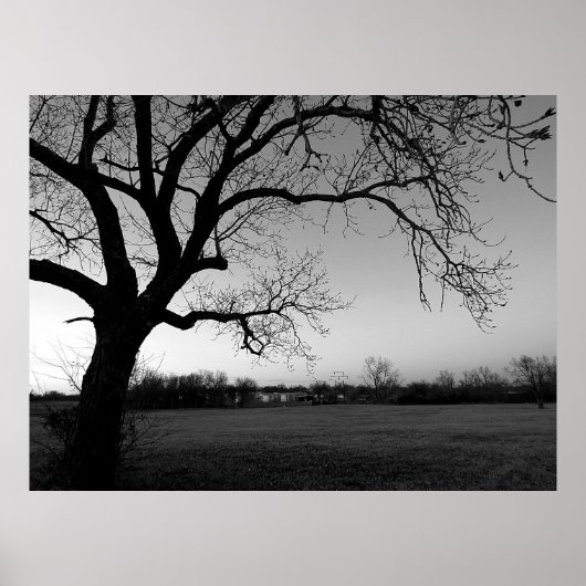 Poster Arbre narquois (Devant)