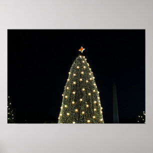 Poster Arbre national de Noël et Monument de Washington l