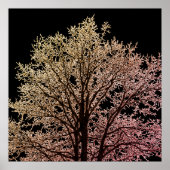 Poster Arbre noir (Devant)