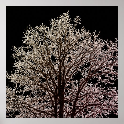 Poster Arbre noir (Devant)