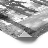 Poster Arbre noir et blanc (Coin)